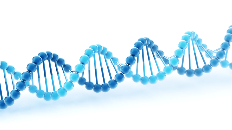 https www westminster ac uk news dna sequencer acquired by the university of westminster