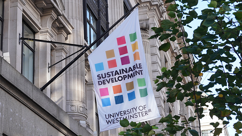 Post-2030 UN Sustainable Development Goals (SDG) drinks reception