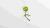 Marina Tsaregorodtseva – Photography BA project Tethered