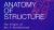Poster for Anatomy of Structure: The Future of Art + Architecture 