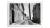 Gisela Torres photography print