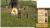 Snapshot of the Saxon king video game