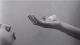 Angela Crosti photograph, hand holding a flower