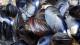 Blue mussels. Credit: Sue Adams Photography/Shutterstock.com