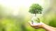 Hand holding glass globe ball with tree growing and green nature blur background
