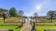 Park with trees and a pond