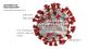 coronavirus-contemporary-china-centre-event-poster