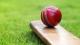Cricket bat and ball