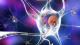 parkinsons-disease-neurons-illustration