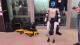 On the left there is a yellow quadraped construction robot. On the right there is a white construction humanoid