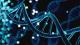 Link to Biological Sciences BSc Honours