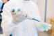 Link to Pharmacology and Physiology BSc Honours