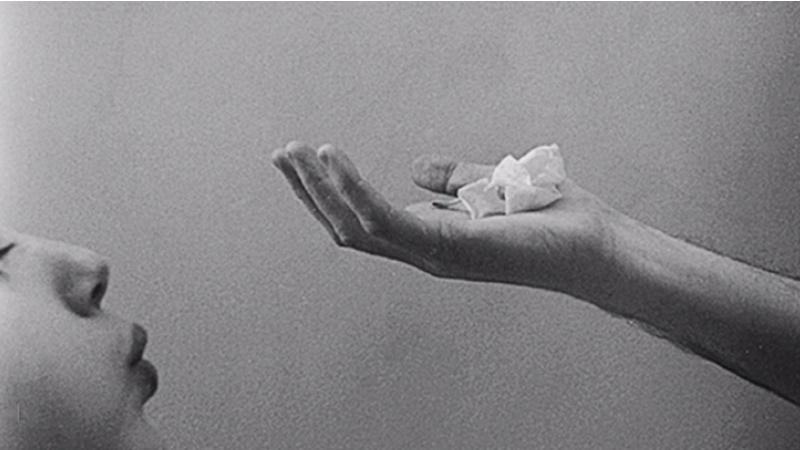 Angela Crosti photograph, hand holding a flower