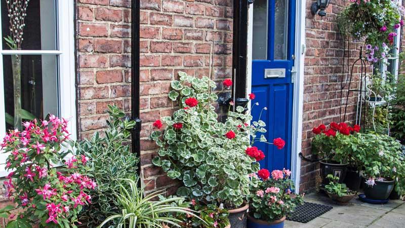 Blue front door with lots of plants in the front garden