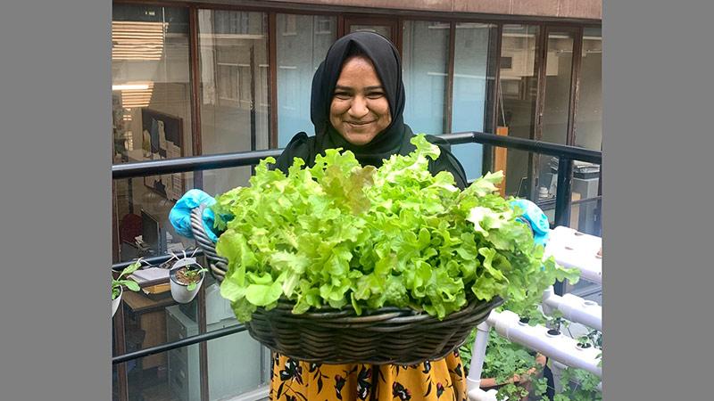 Student holding lettuce harvested at Cavendish Living Lab