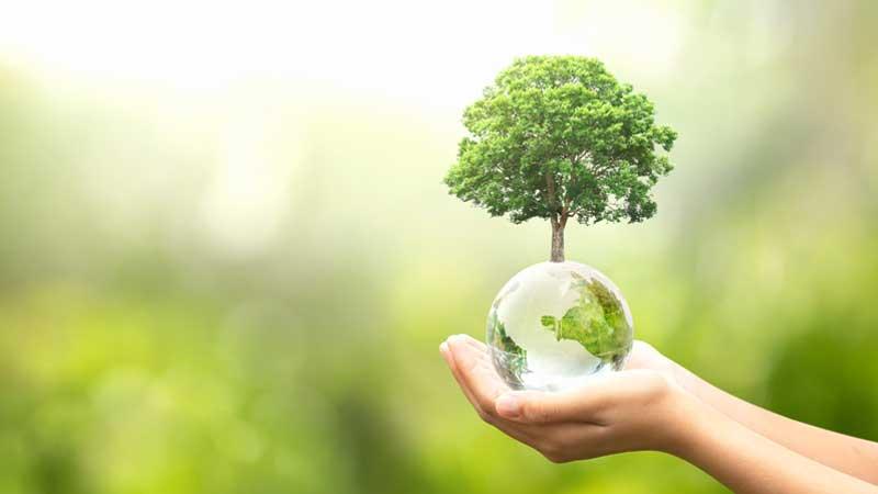 Hand holding glass globe ball with tree growing and green nature blur background