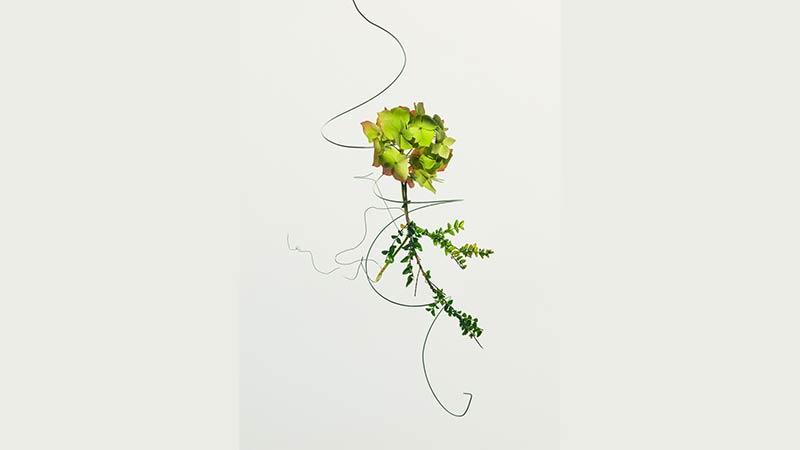 Marina Tsaregorodtseva photo for Sony World Photography Award