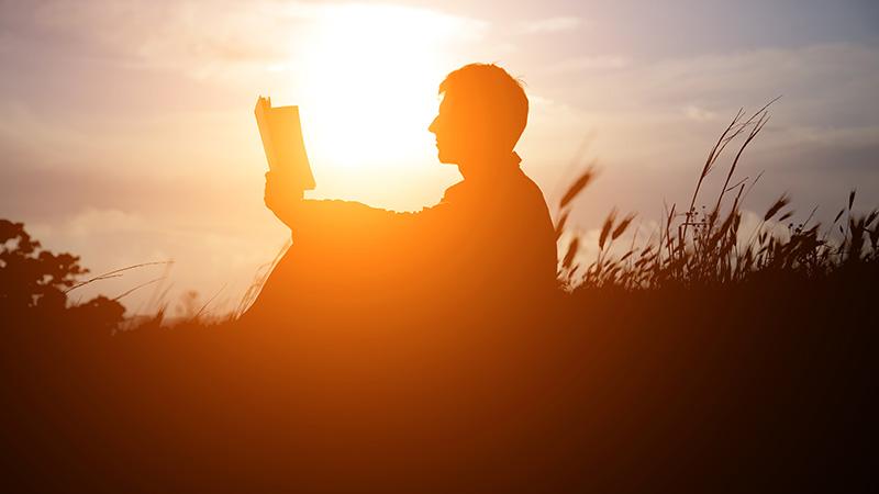 Man sitting alone reading in sunlight