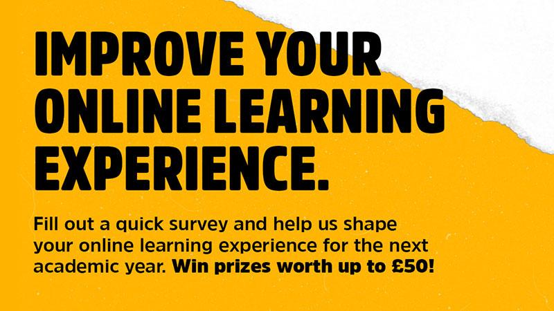 Online learning experience survey flyer