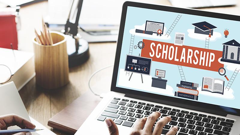 Student looking at scholarship advert on laptop
