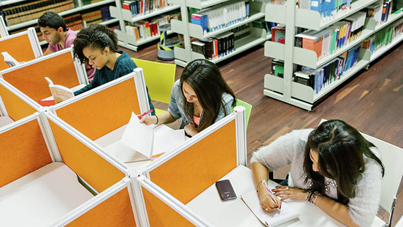 Students working in the library