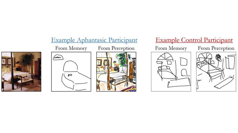 Drawings by individuals with aphantasia and typical visual memory of rooms for research study