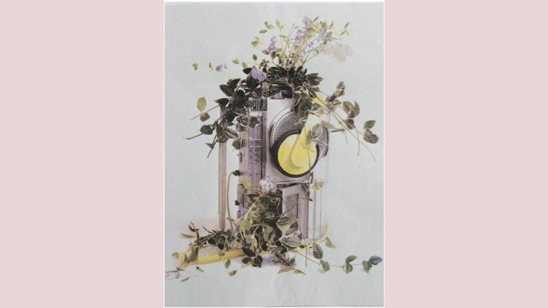 Picture of one element of Photography alumna Beth Theobald's final year project.