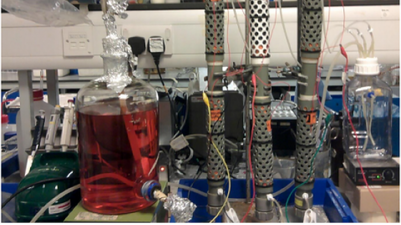 Single chamber microbial fuel cells that will be used in this project.