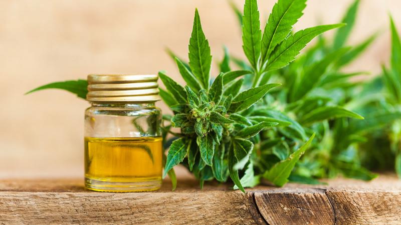 cbd-oil