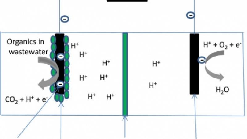 Diagram of schematic of a microbial fuel cell.
