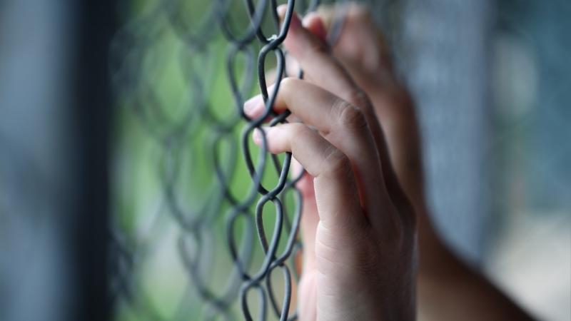 Child's hand gripping a chain-link fence
