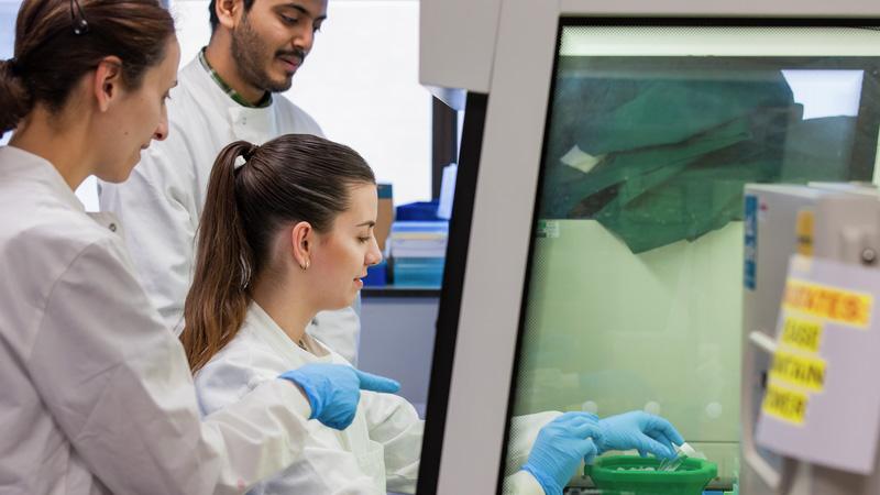 Photo of a Westminster student being helped by technicians in the lab.