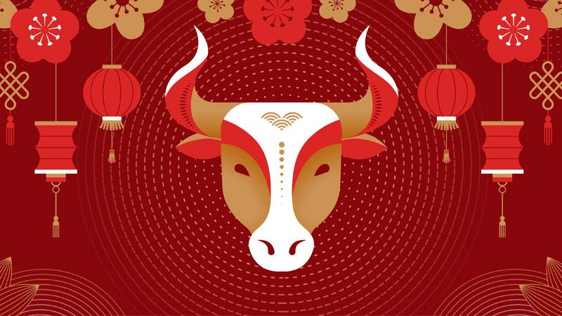 Graphic for Lunar New Year with lanterns, flowers and an ox