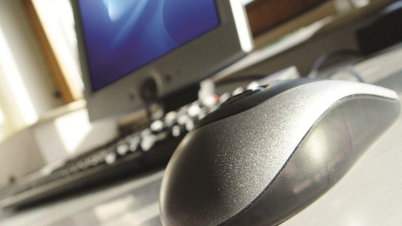mouse