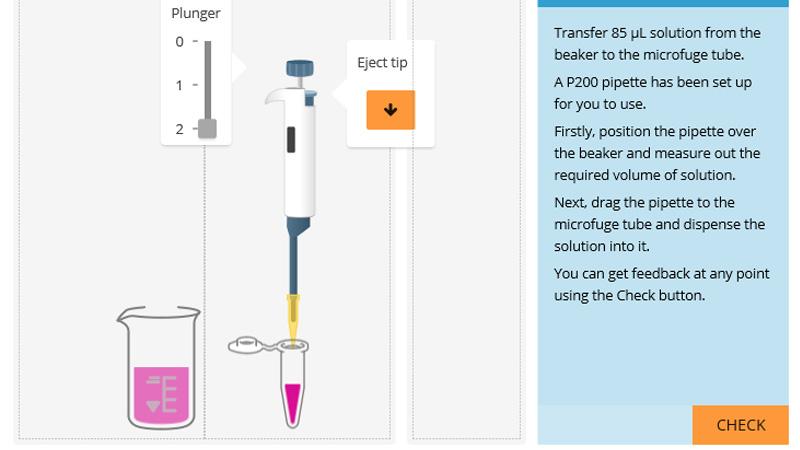 Screenshot of virtual lab practical