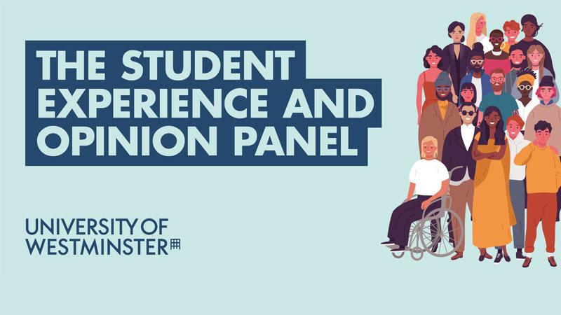 Student experience and opinion panel flyer