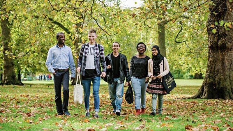 Students walking in a park