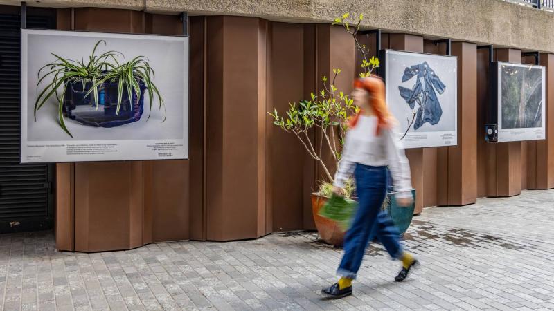 Photo of a member of the public walking past student artwork at the Sustainable Planet Exhibition.