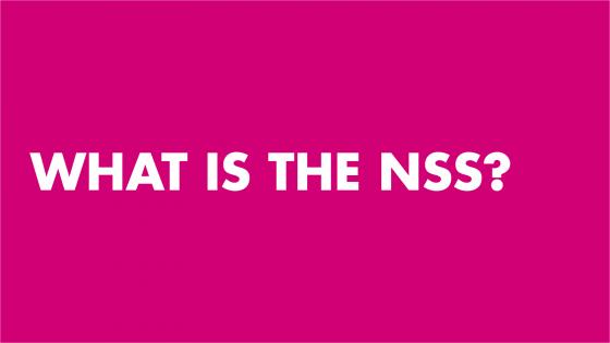 What is the NSS