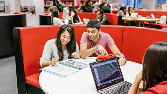 skills academy