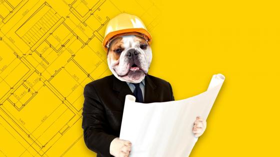 An architect with a dog's head