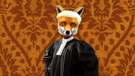 A lawyer with a fox's head