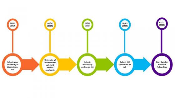 Flow chart depicting the process of the Future Leaders Fellowship call