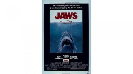 This is a poster from the film JAWS whew we can see a shark swimming toward us with his mouth wide open