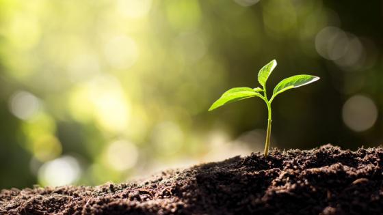 Plant-generic