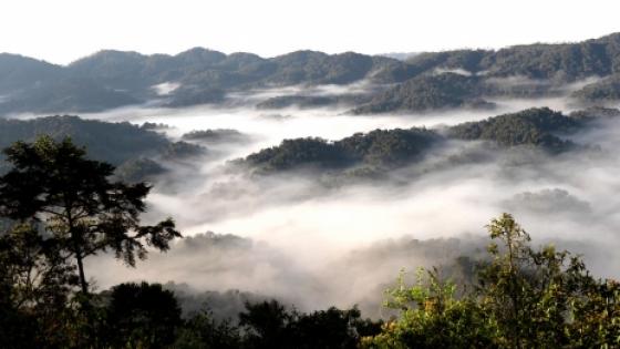 A view of Rwanda national park, with misty clouds covering a green landscape