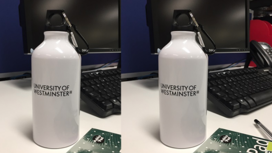 Westminster Water Bottle