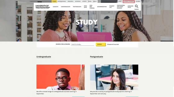 Website