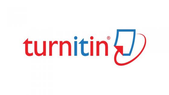 Turtin Logo