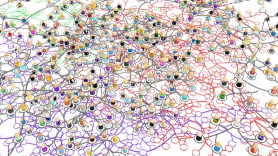Map of a web or network